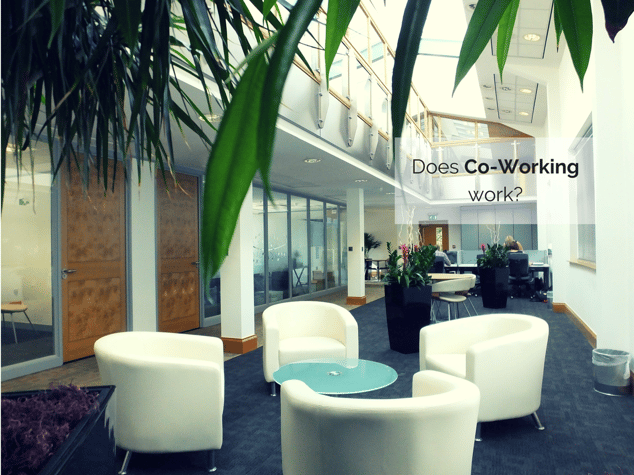 Does_Co-Working_work-
