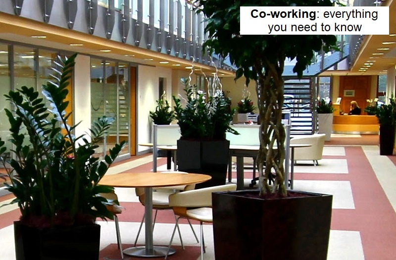 Coworking everythign you need to know blog.jpg